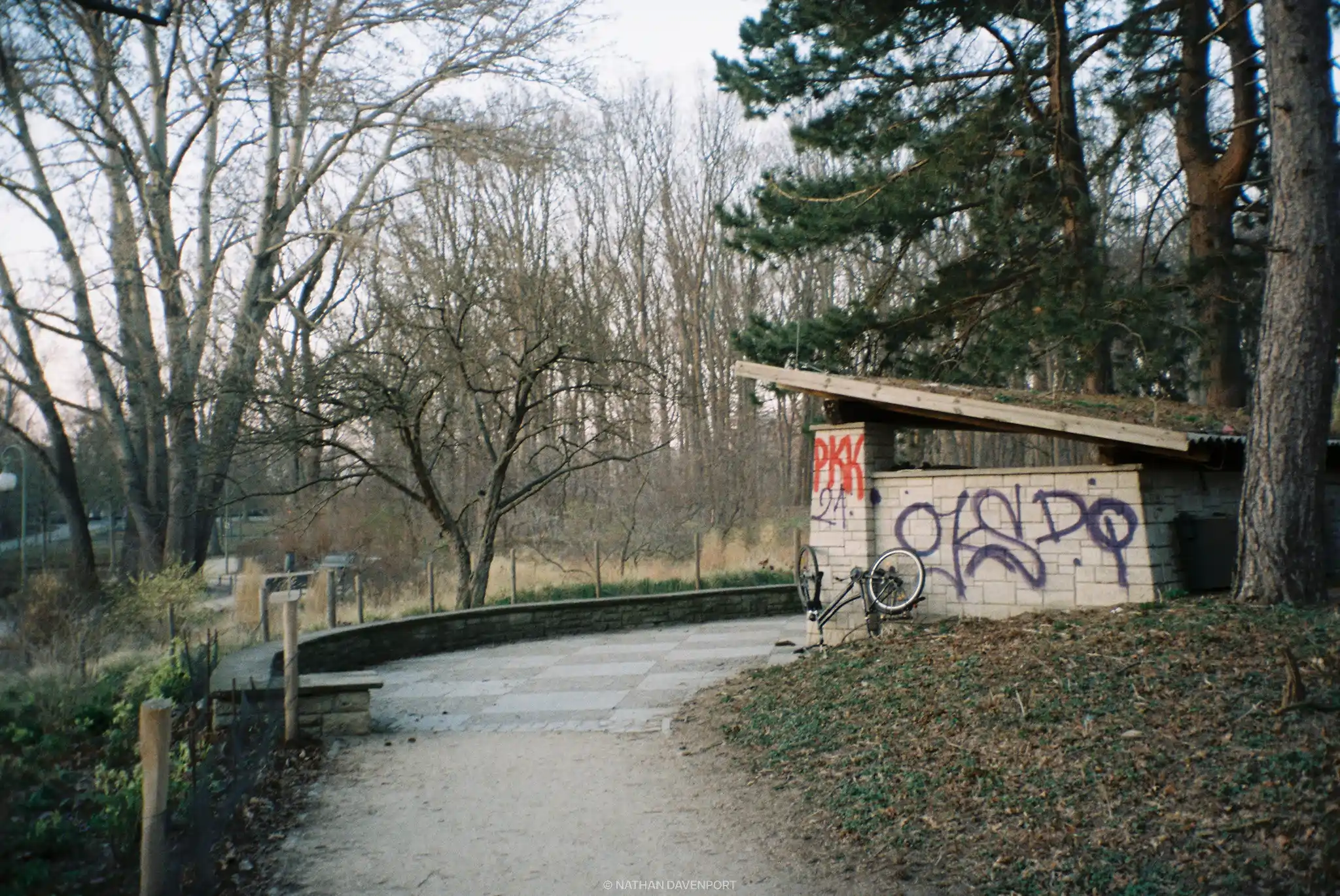 Canon A-1 (35mm)